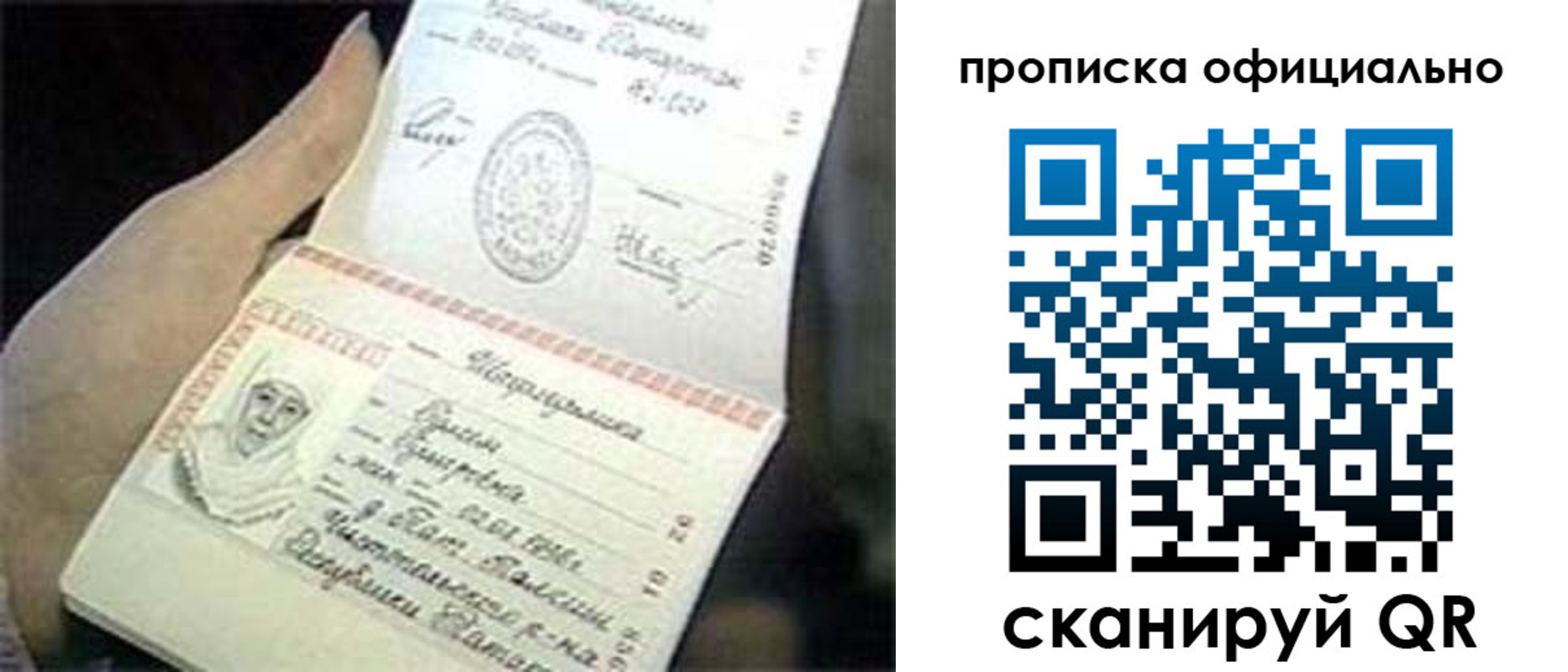 прописка поиск в Коле